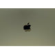 Begagnad - MacBook (Retina, 12-tum, Tidig 2015) Guld Begagnad Dator 